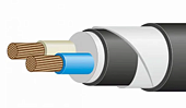 ВБШвнг(А)-LS 2х6-1 (ож) кабель ГОСТ